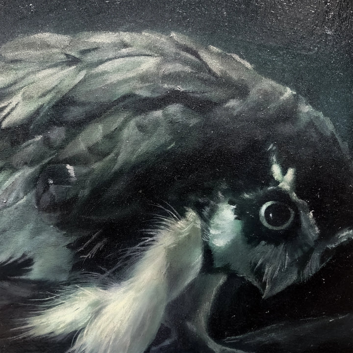 The sage whispers in the night